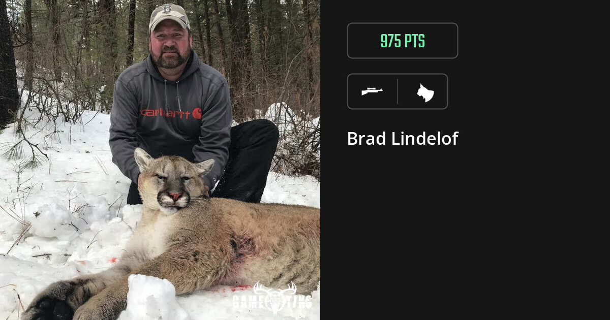 feline harvest by Brad Lindelof
