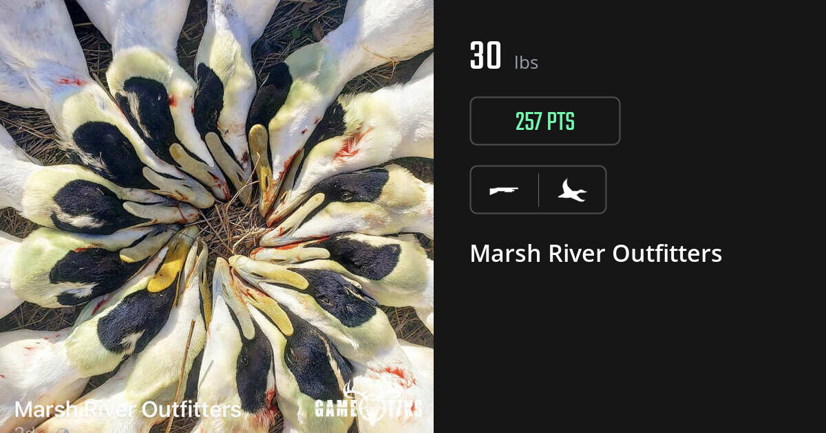 Waterfowl harvest on Gametiks