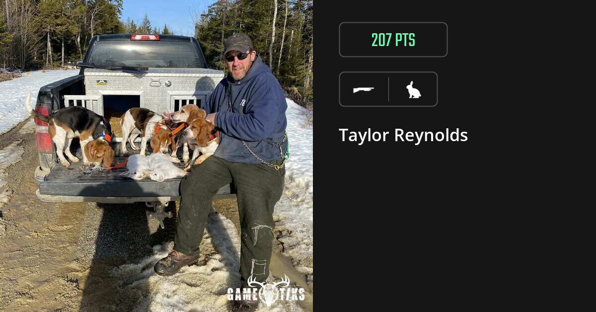 rabbit harvest by Taylor Reynolds
