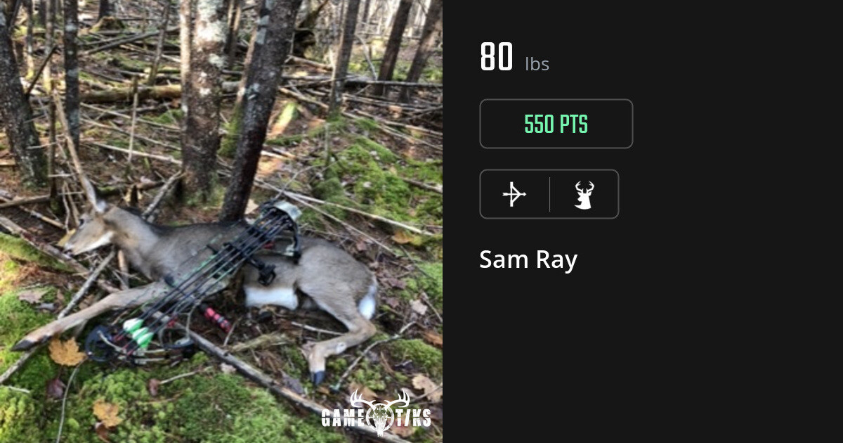 Deer harvest on Gametiks