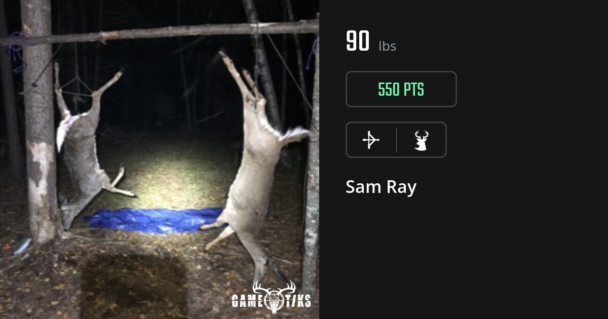 deer harvest by Sam Ray