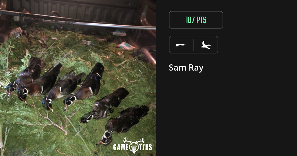waterfowl harvest by Sam Ray