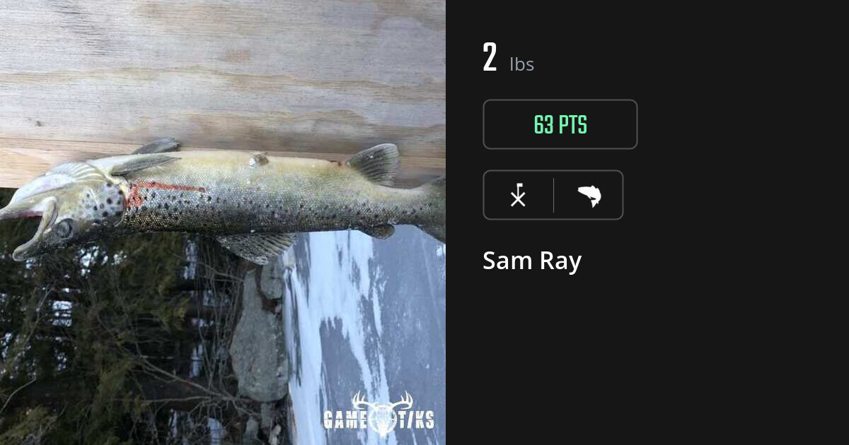 saltwater_fish harvest by Sam Ray