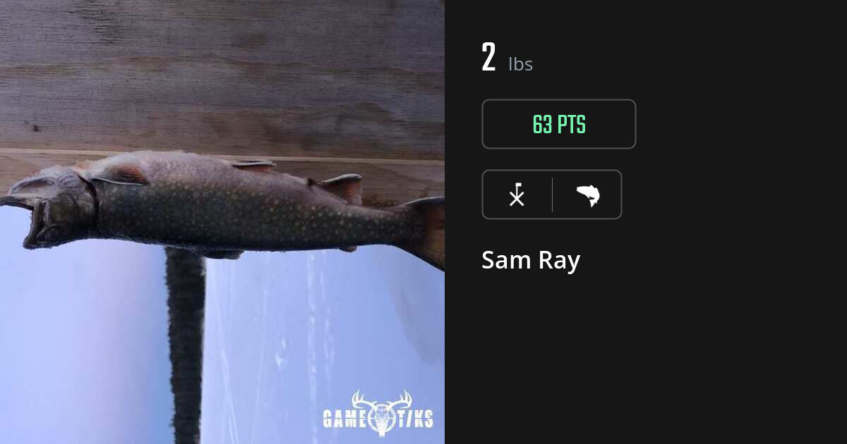saltwater_fish harvest by Sam Ray