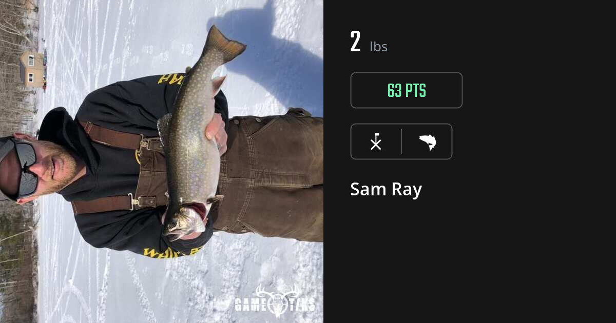 saltwater_fish harvest by Sam Ray