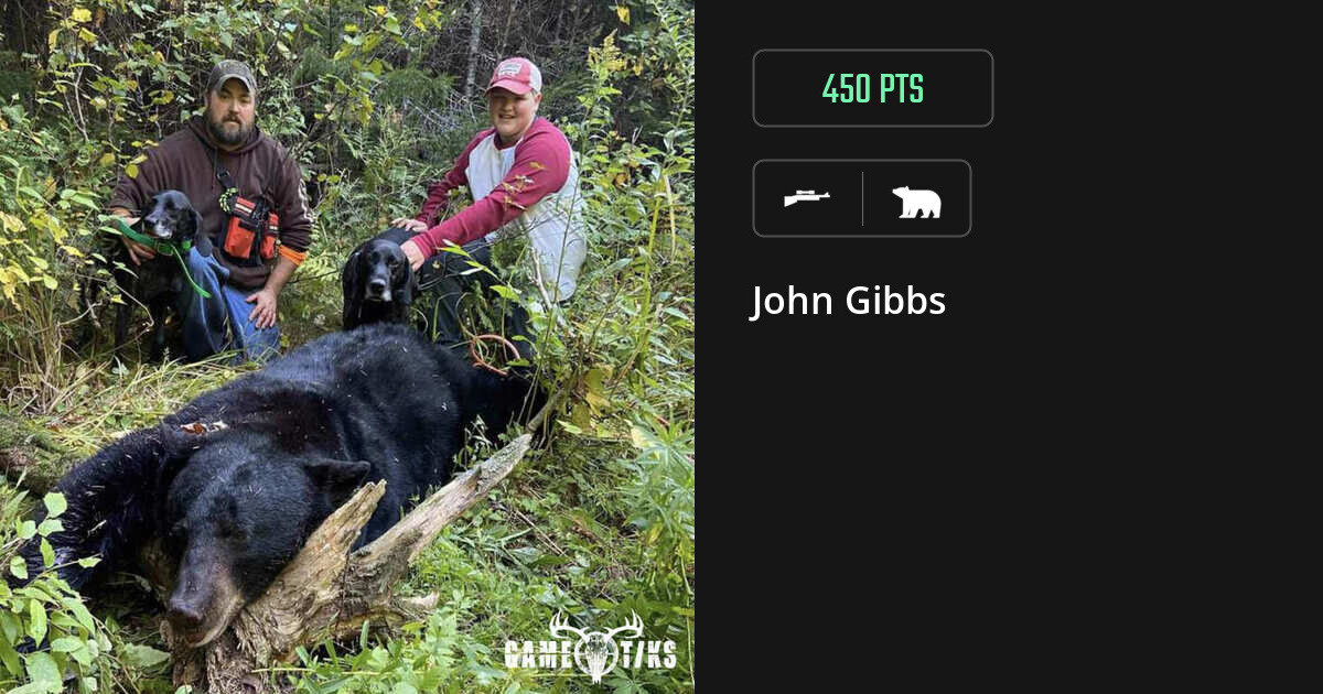 Bear harvest on Gametiks