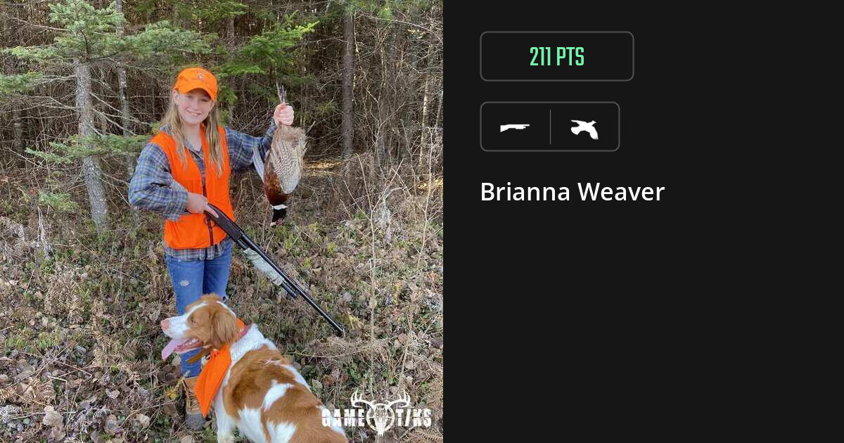 upland_bird harvest by Brianna Weaver