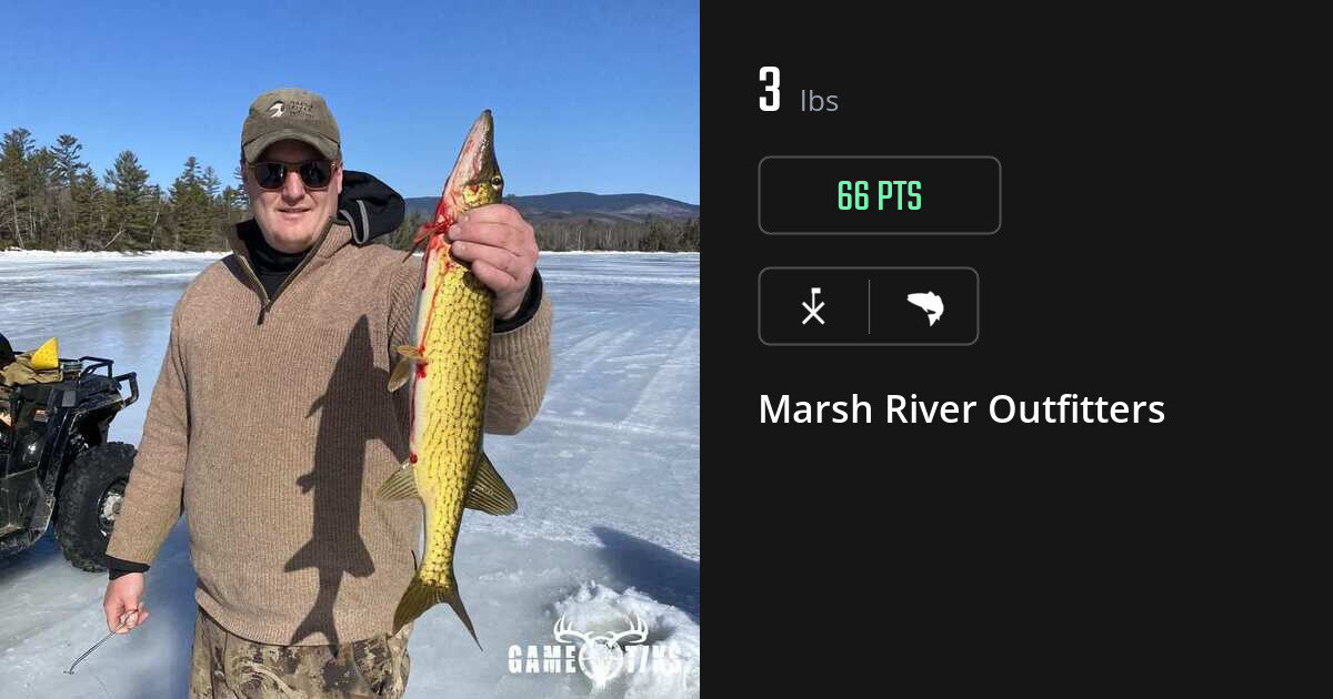 Saltwater fish harvest on Gametiks