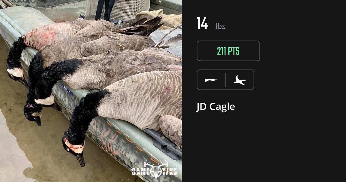Waterfowl harvest on Gametiks