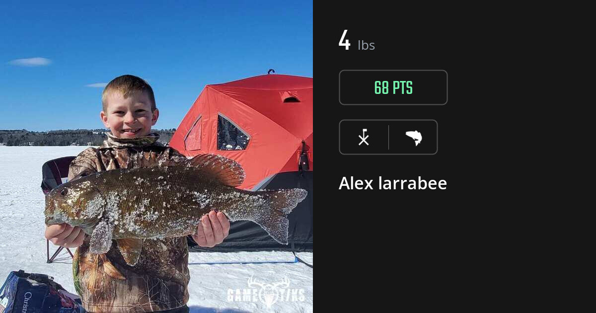 Saltwater fish harvest on Gametiks