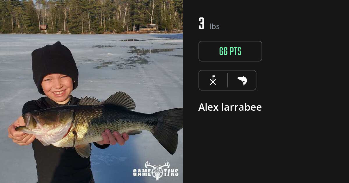 Saltwater fish harvest on Gametiks