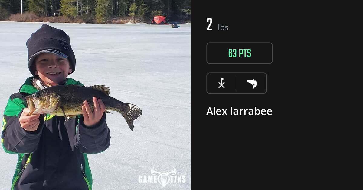 Saltwater fish harvest on Gametiks