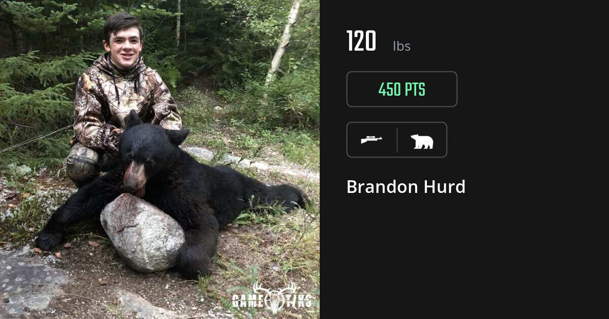 Bear harvest on Gametiks