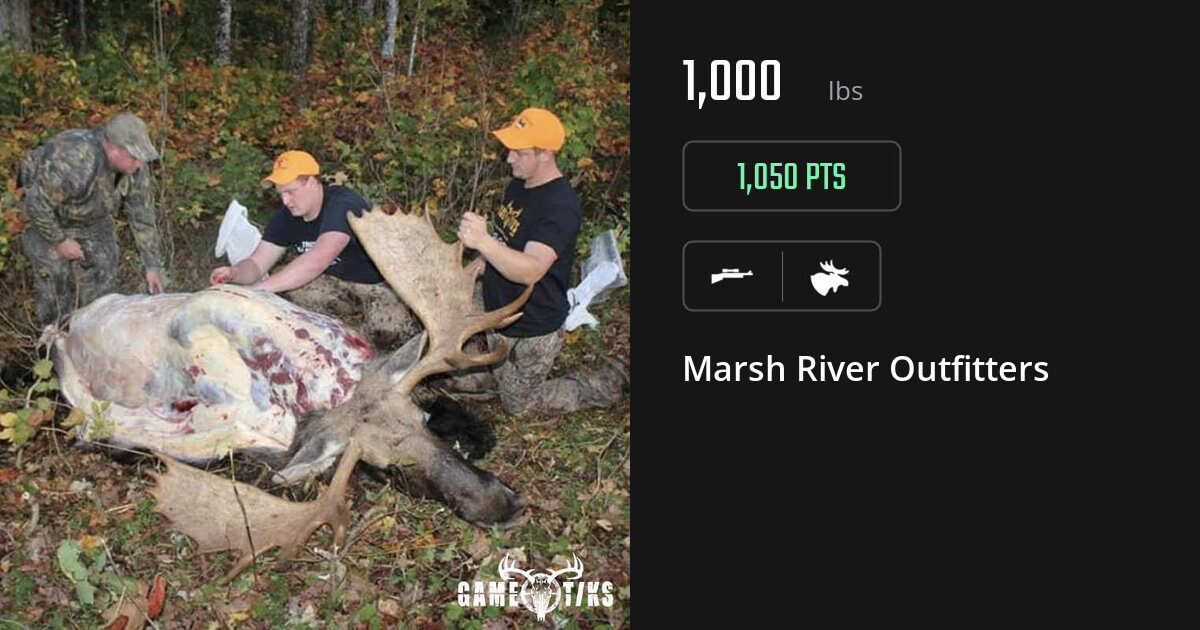 Moose harvest on Gametiks