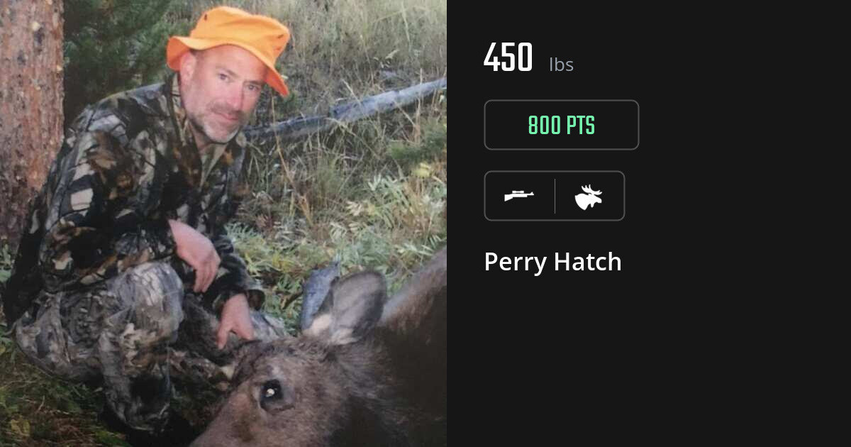 Moose harvest on Gametiks