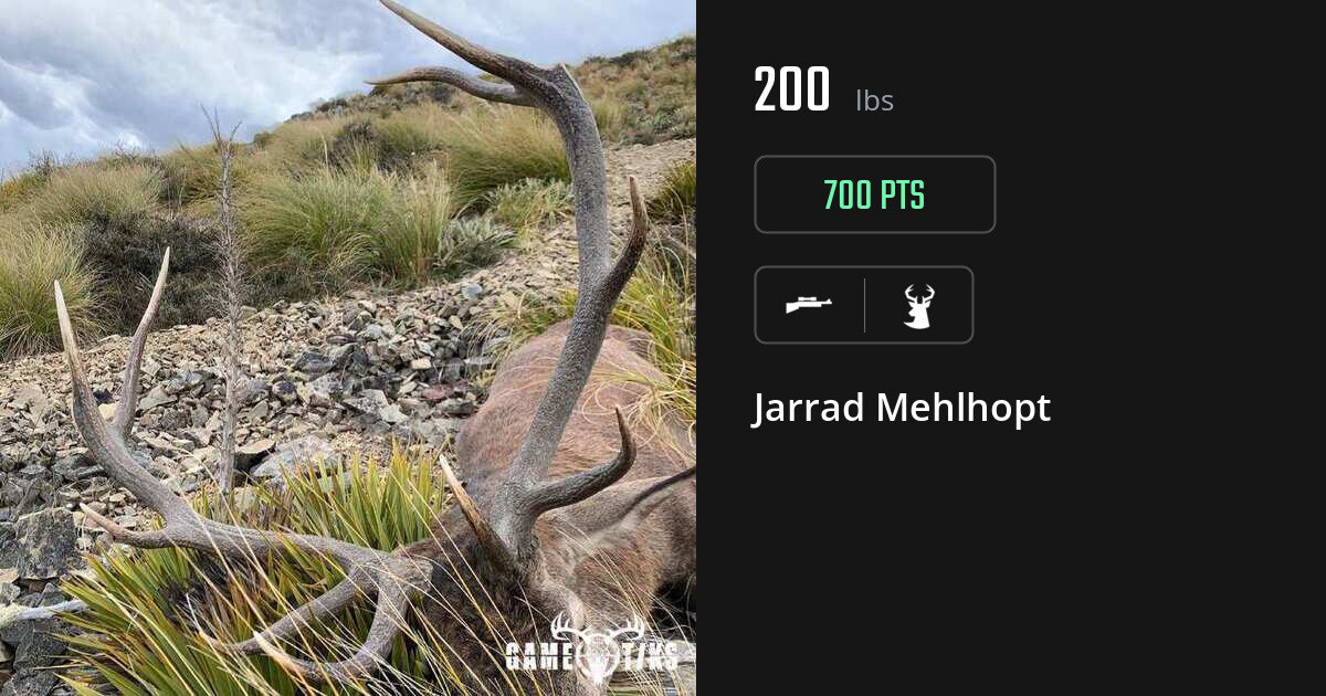deer harvest by Jarrad Mehlhopt