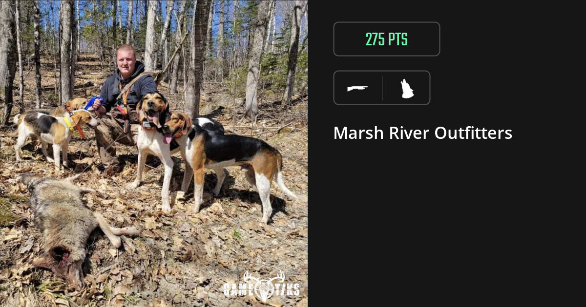 Canine harvest on Gametiks
