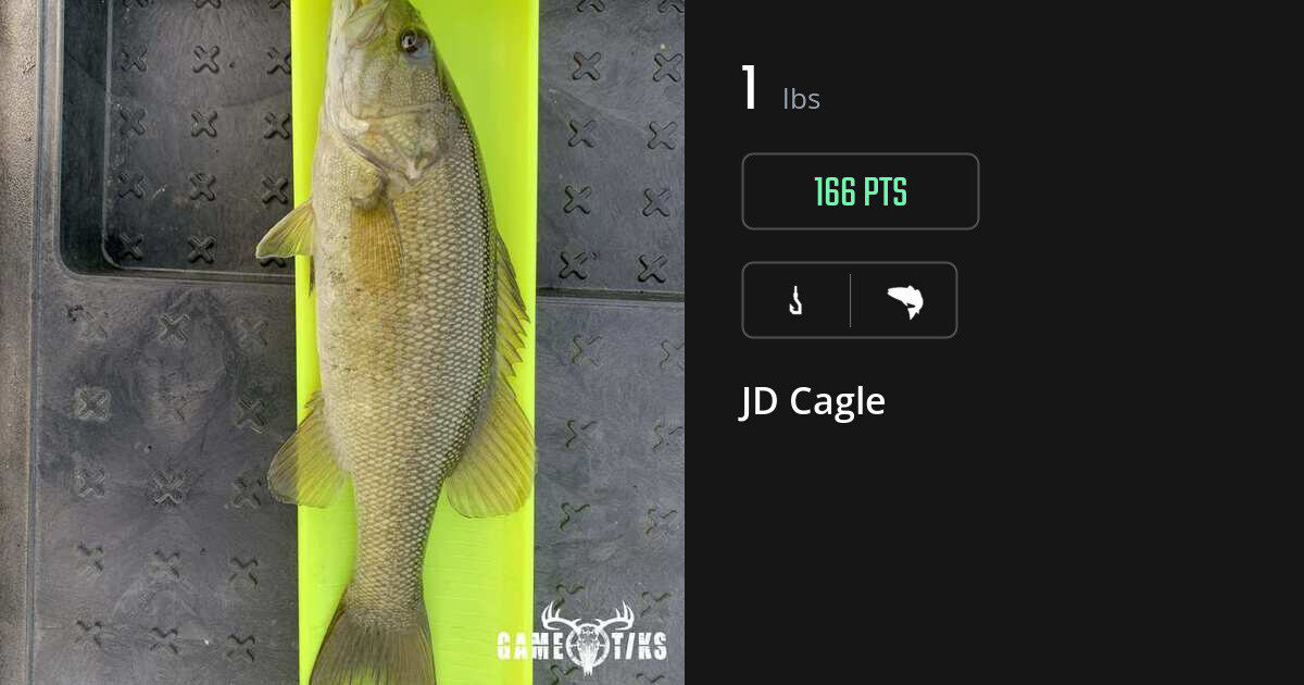 Saltwater fish harvest on Gametiks
