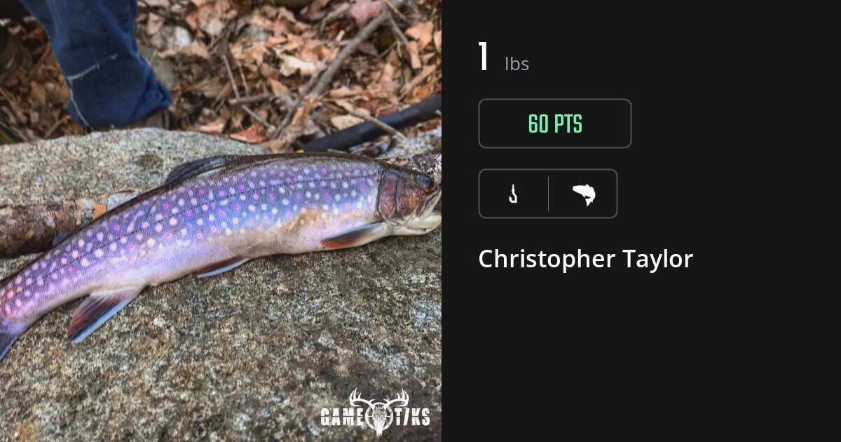 Saltwater fish harvest on Gametiks