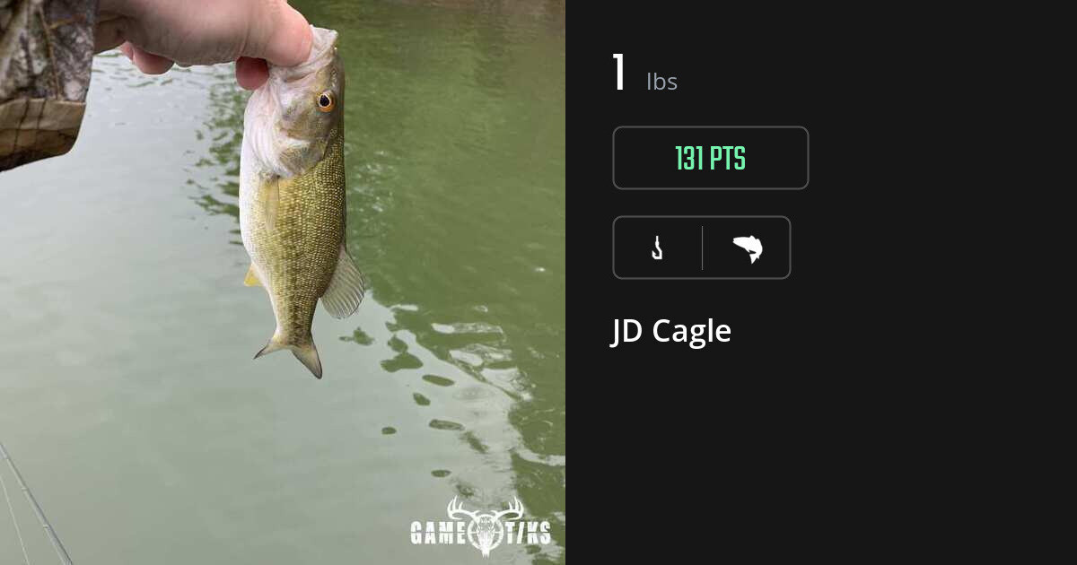 Saltwater fish harvest on Gametiks
