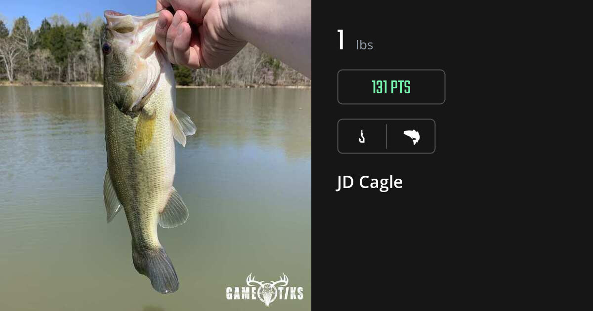 Saltwater fish harvest on Gametiks
