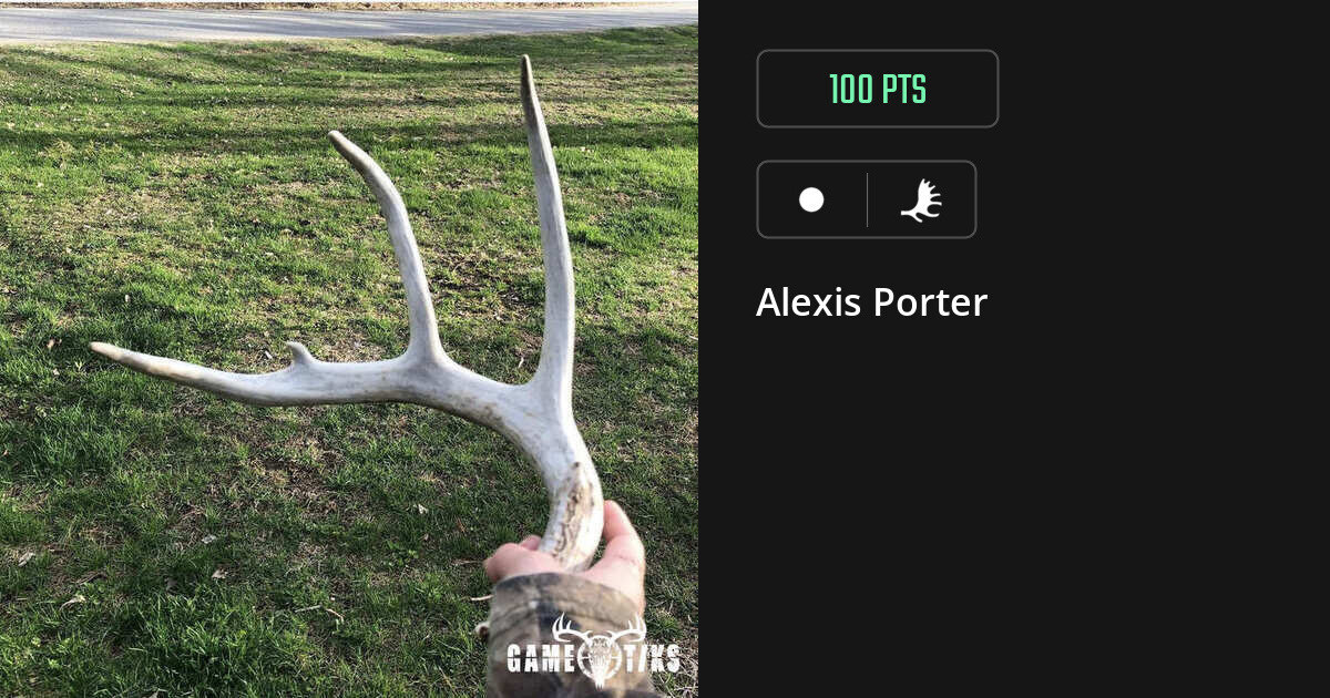 Shed antler harvest on Gametiks