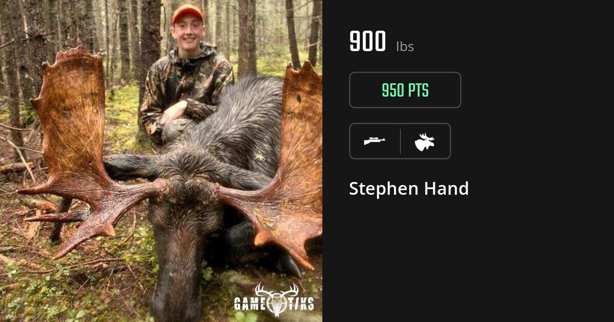 moose harvest by Stephen Hand