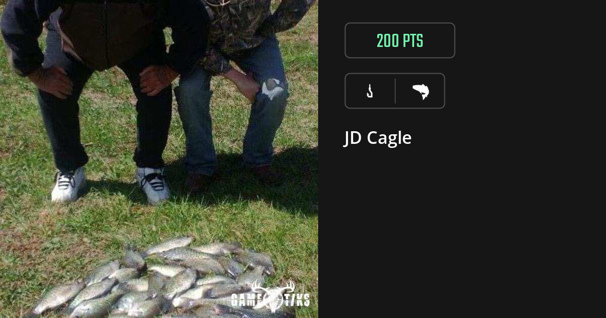 Saltwater fish harvest on Gametiks