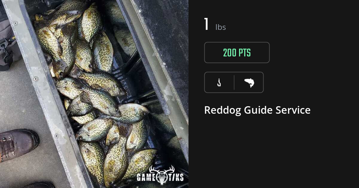 saltwater_fish harvest by Reddog Guide Service