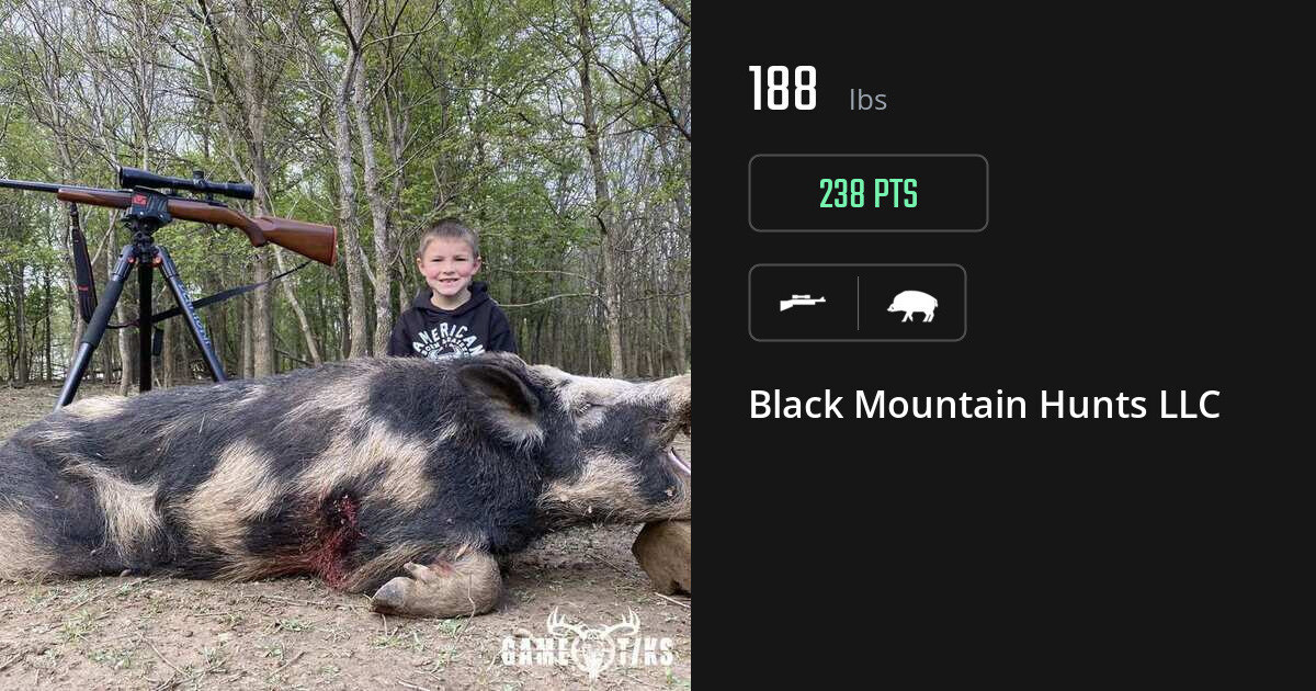 Boar harvest on Gametiks