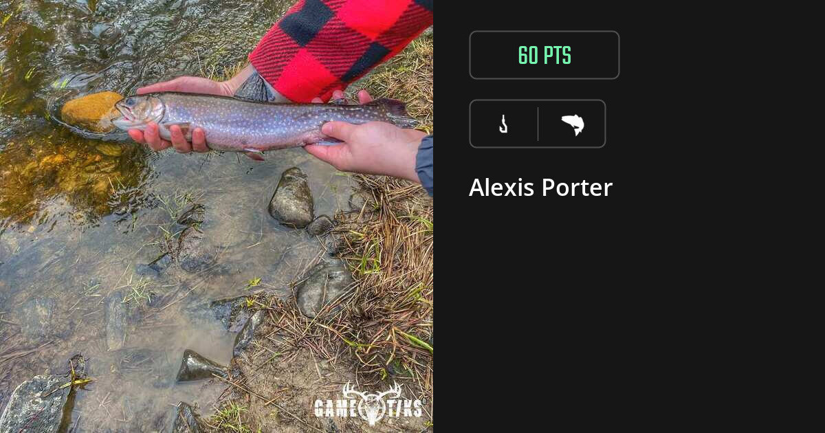 Saltwater fish harvest on Gametiks