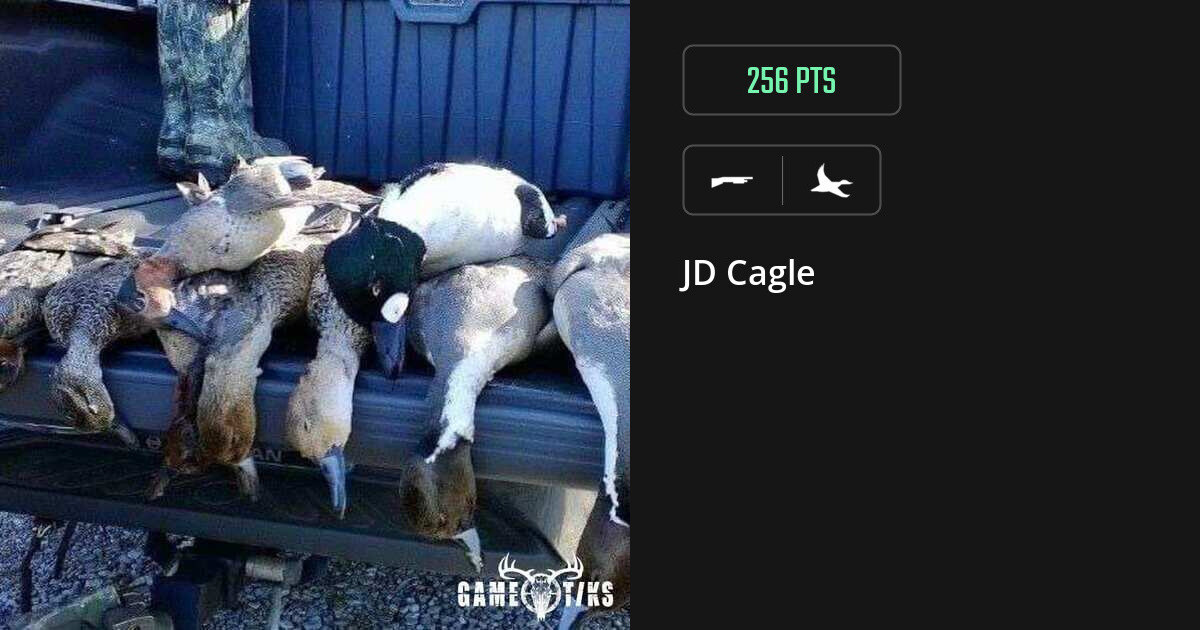 Waterfowl harvest on Gametiks
