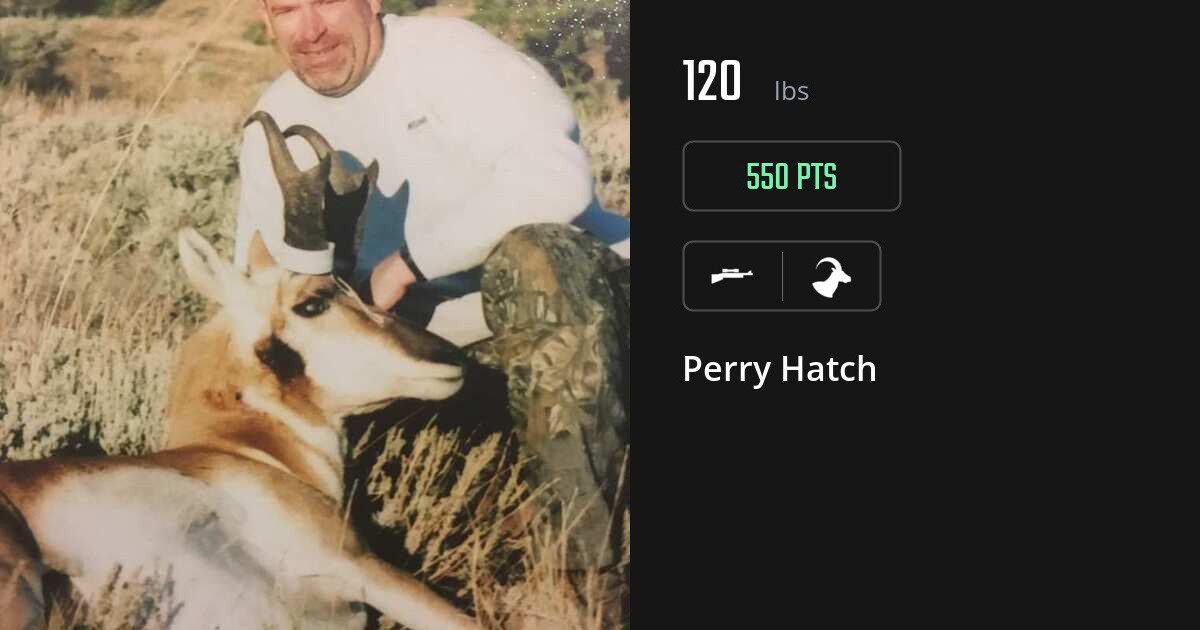 Bovid harvest on Gametiks