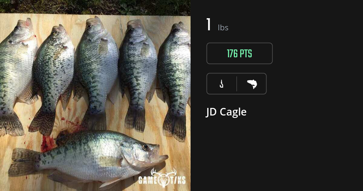 Saltwater fish harvest on Gametiks
