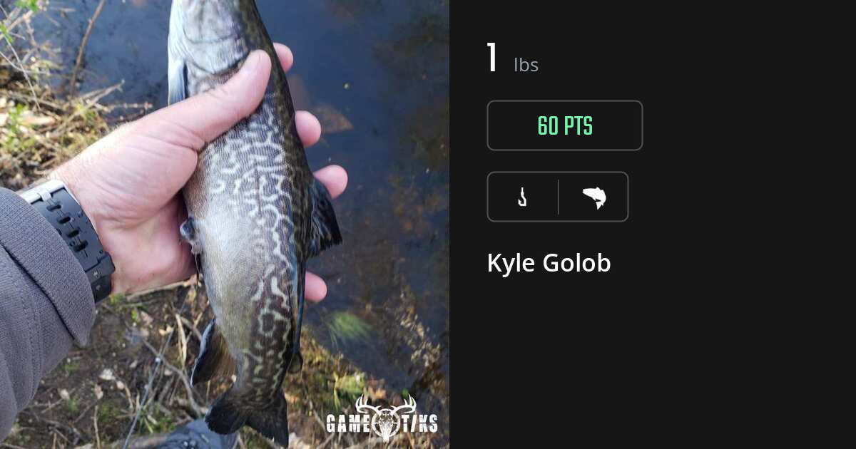 Saltwater fish harvest on Gametiks