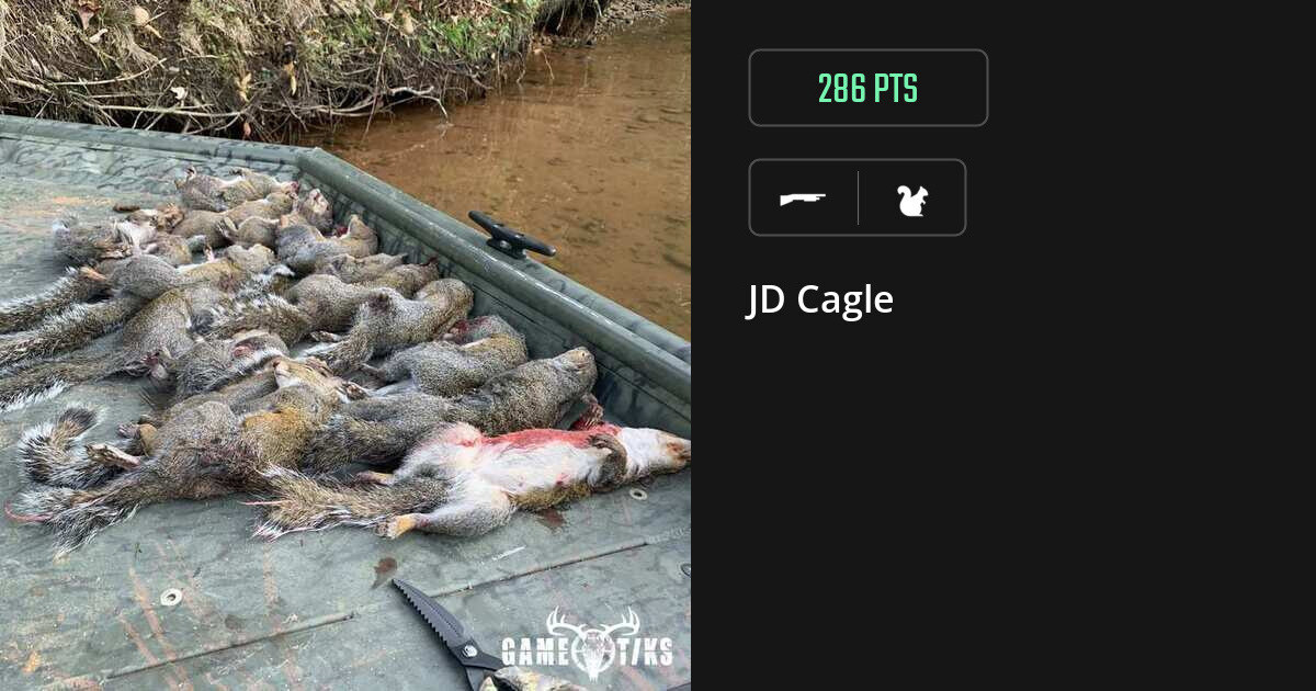 squirrel harvest by JD Cagle