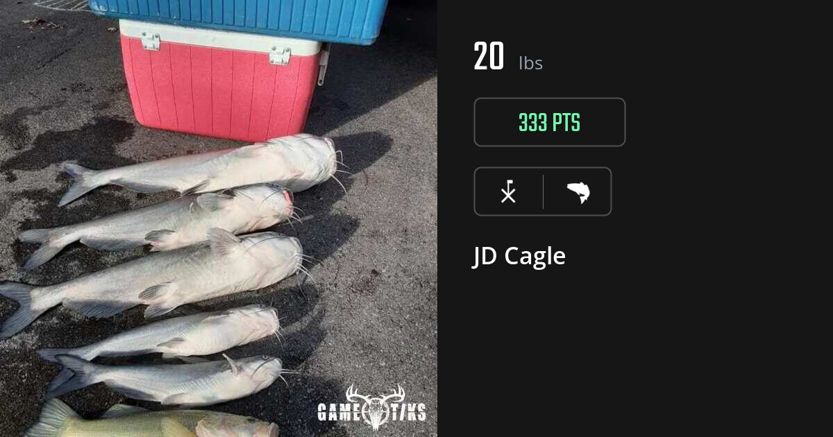 saltwater_fish harvest by JD Cagle