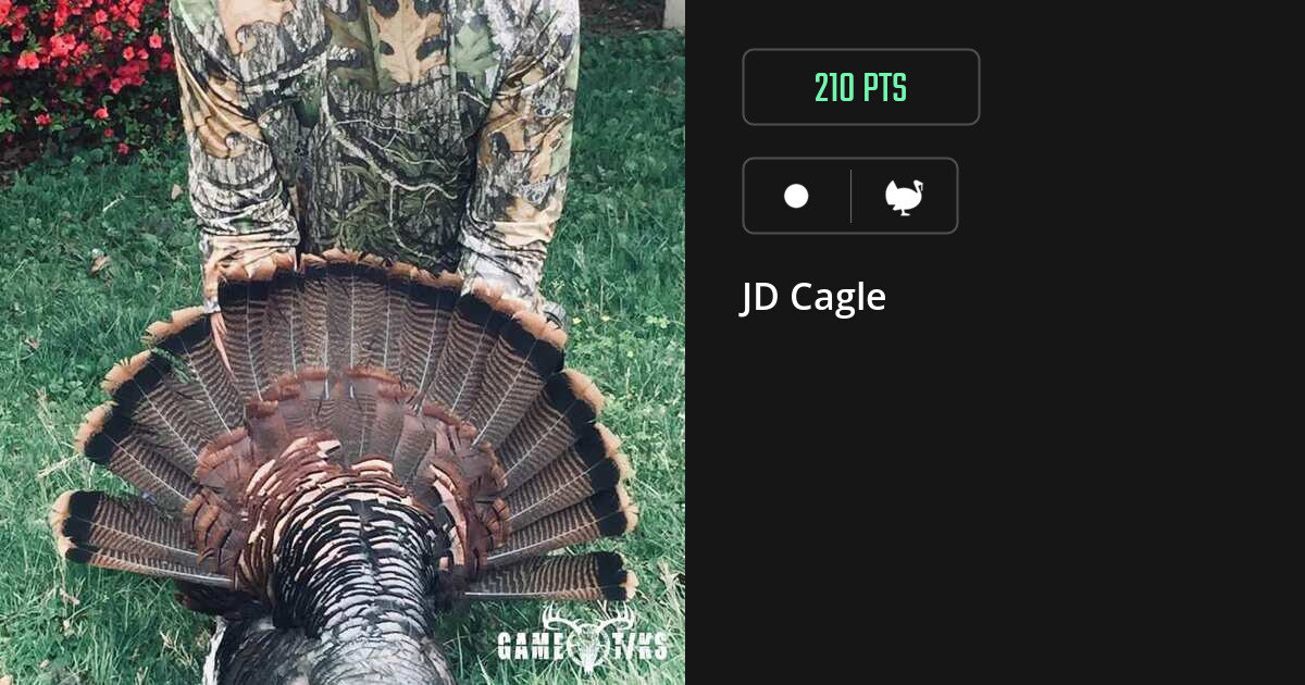 turkey harvest by JD Cagle