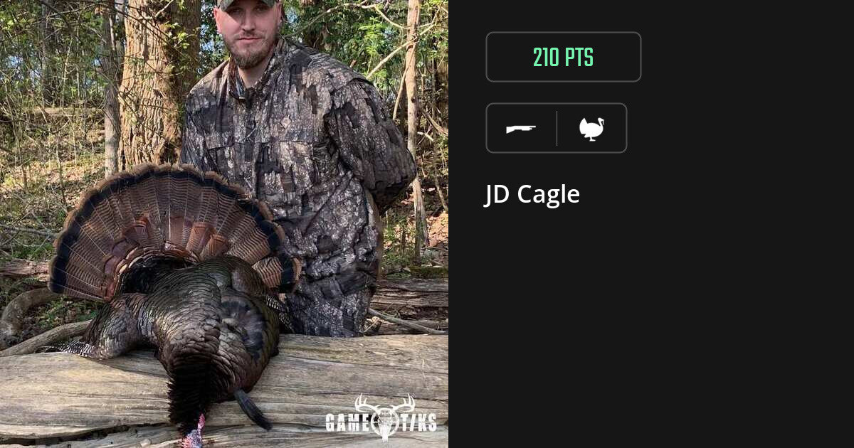 turkey harvest by JD Cagle