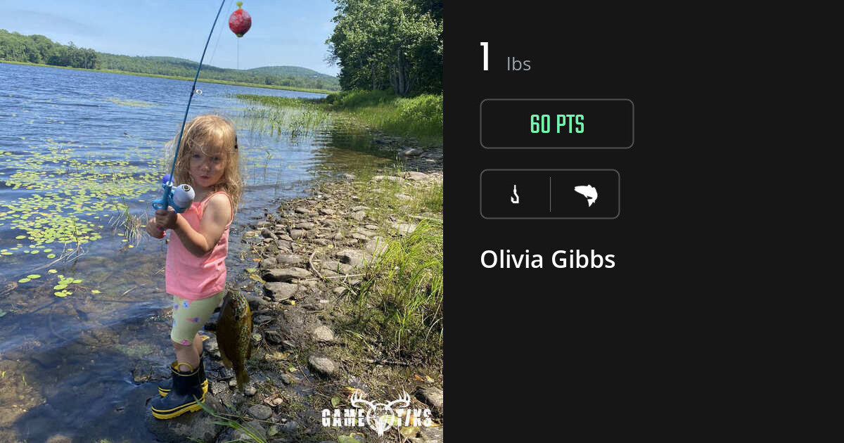 saltwater_fish harvest by Olivia Gibbs