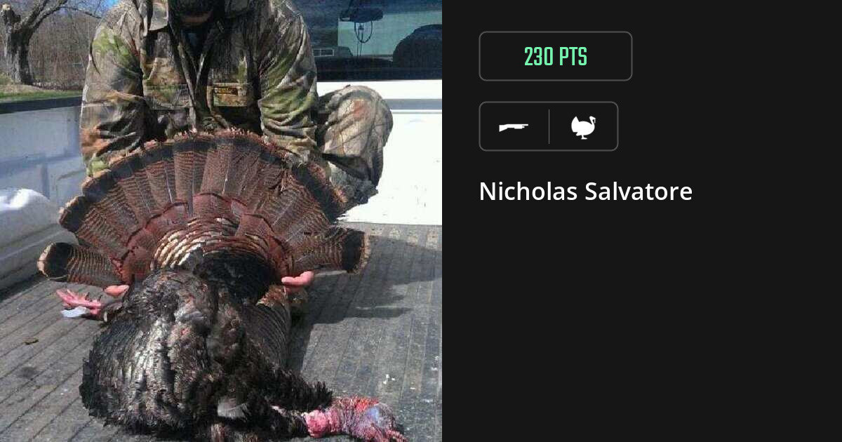 Turkey harvest on Gametiks
