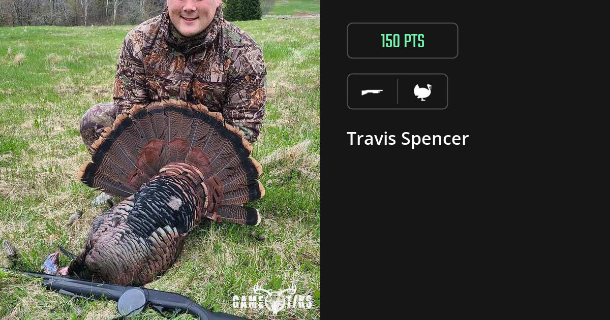 turkey harvest by Travis Spencer