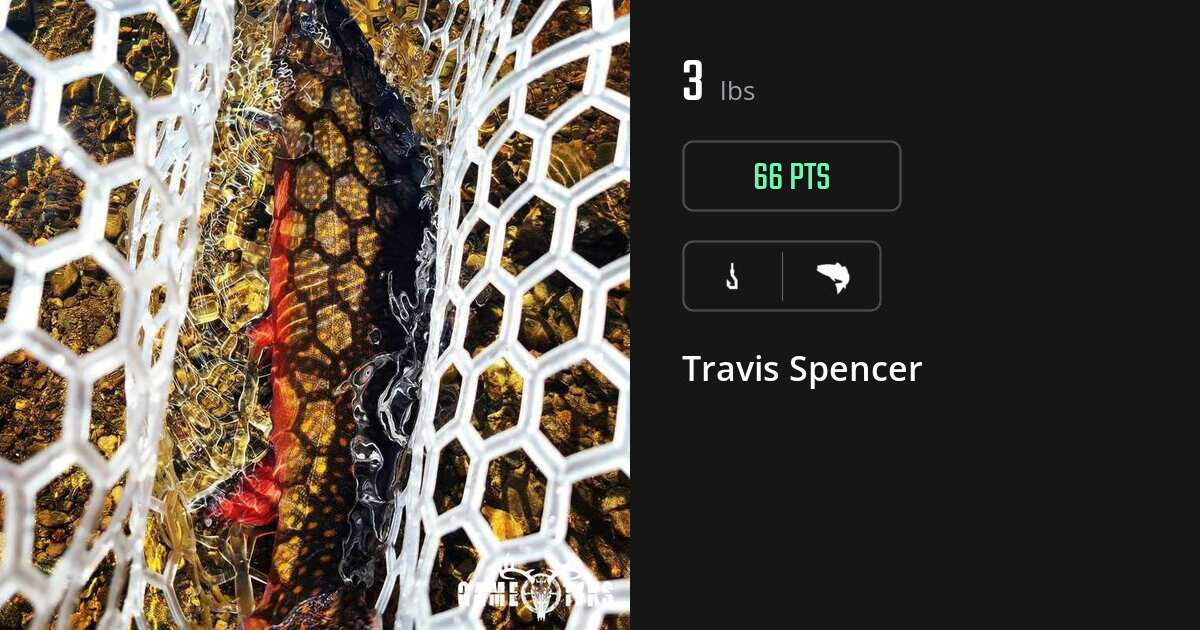 saltwater_fish harvest by Travis Spencer
