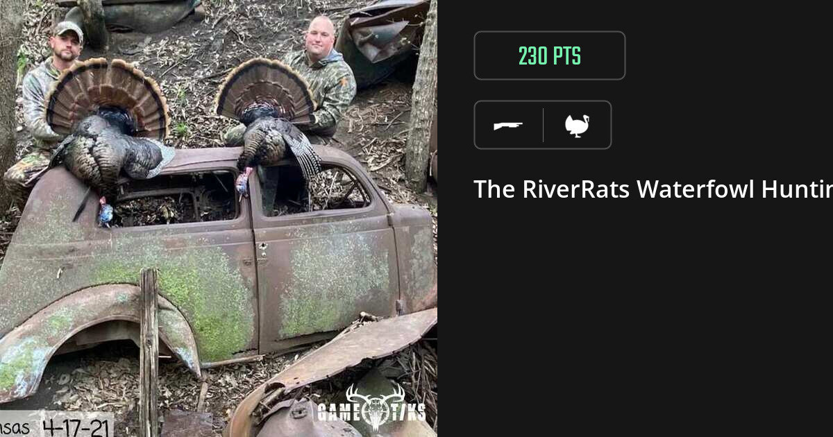 Turkey harvest on Gametiks