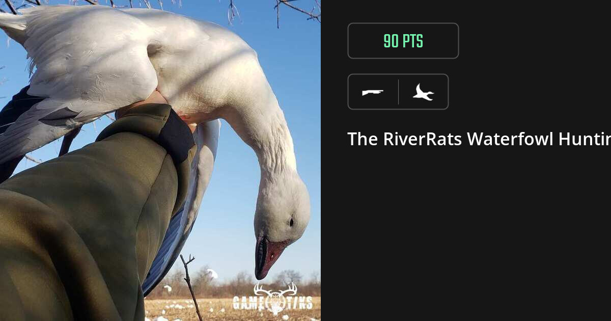 Waterfowl harvest on Gametiks