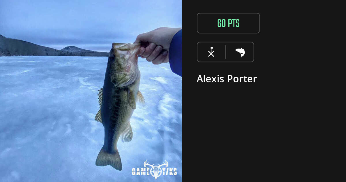 Saltwater fish harvest on Gametiks