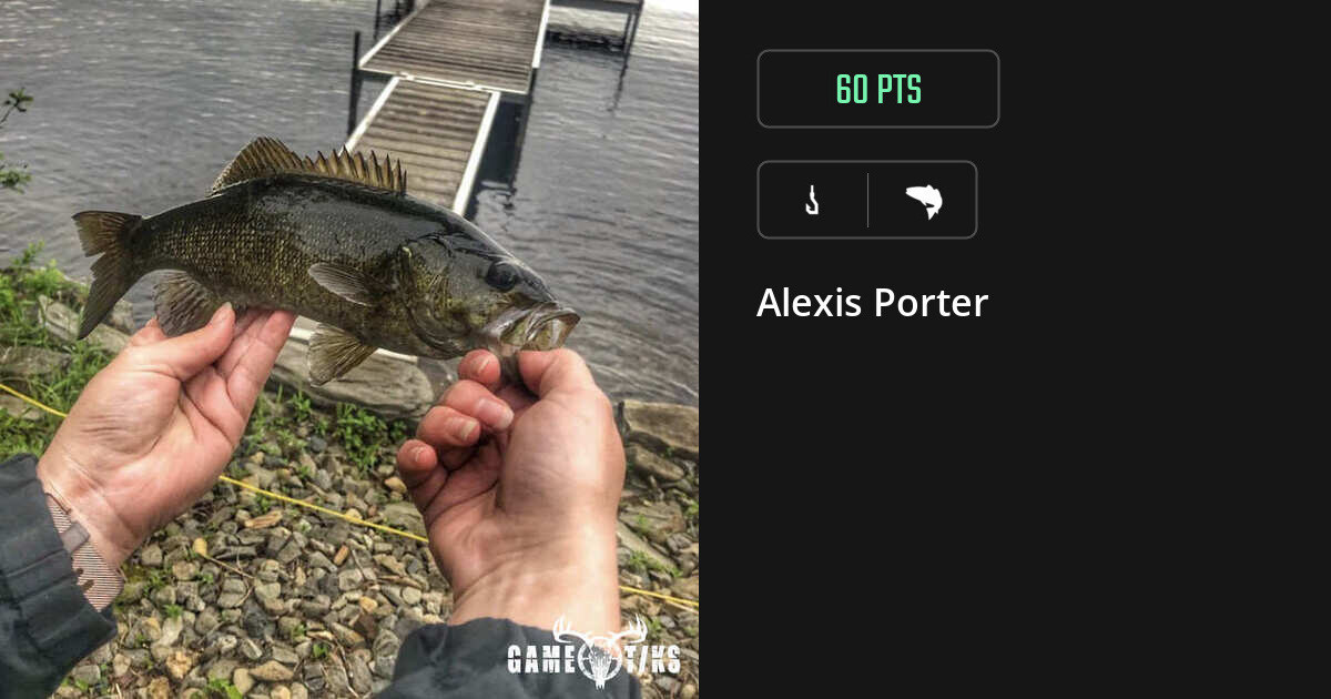 Saltwater fish harvest on Gametiks
