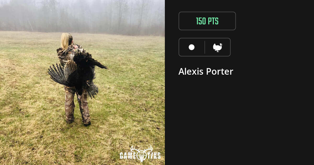 Turkey harvest on Gametiks