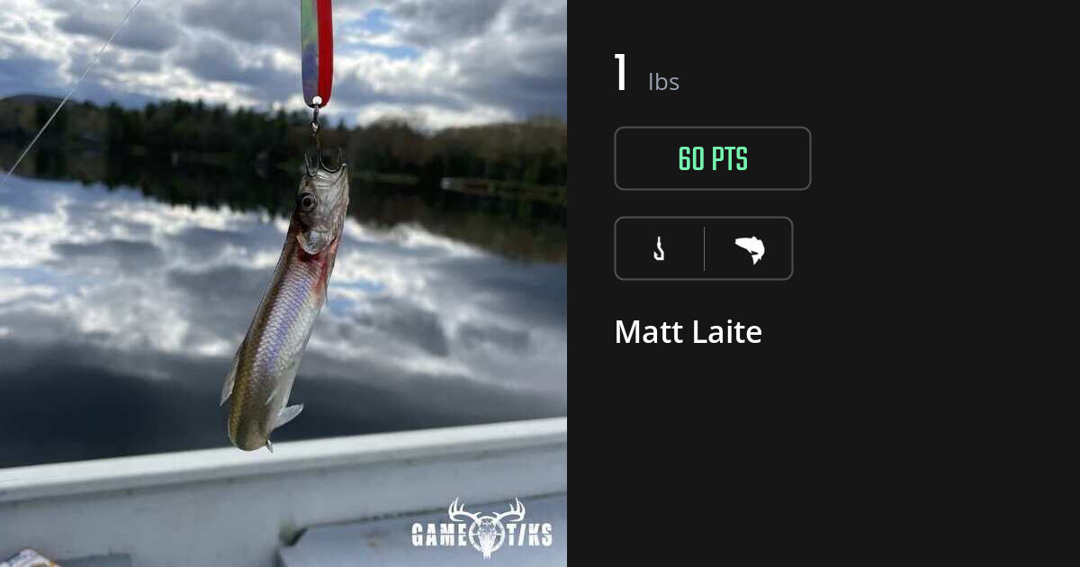 Saltwater fish harvest on Gametiks