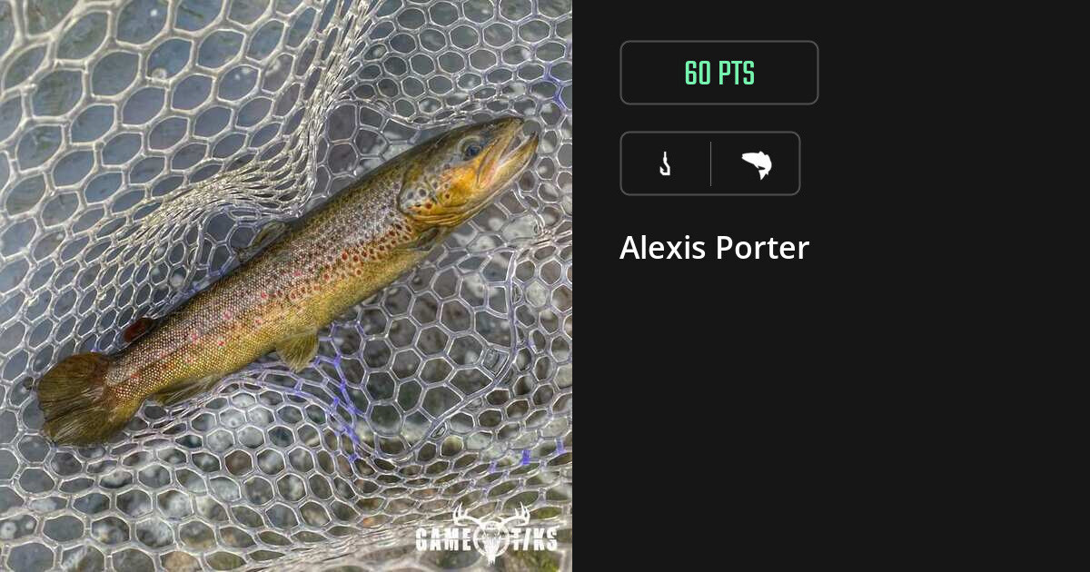 Saltwater fish harvest on Gametiks